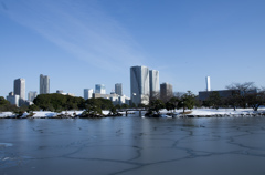 雪の浜離宮庭園④