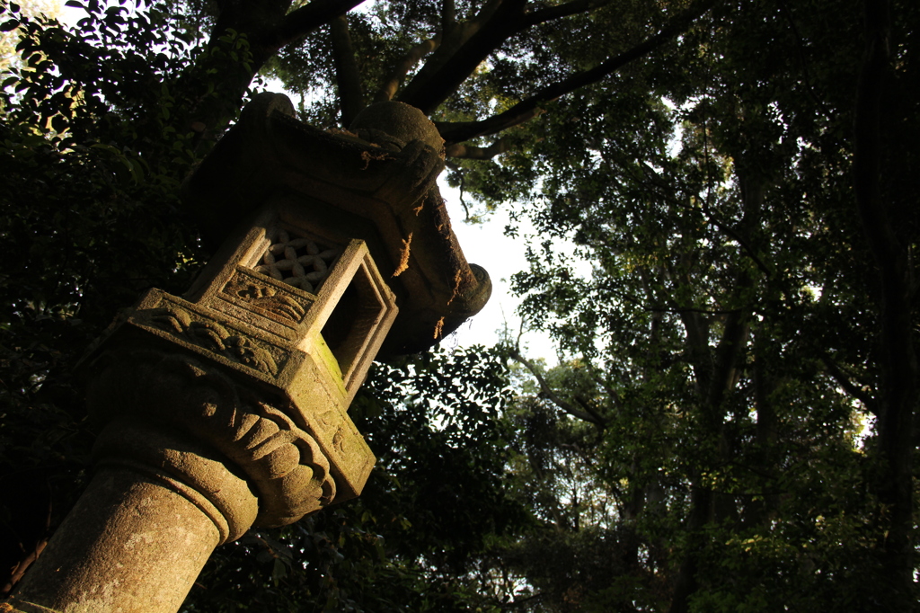社の灯り。