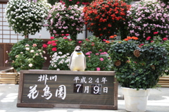 花鳥園。