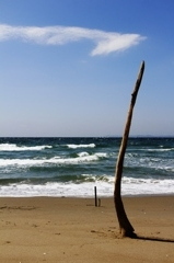 海にたたずむ。