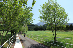 牧場
