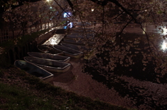 桜に染められて