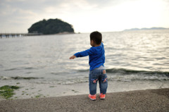 海