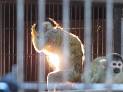 お腹あったかい