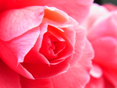 R0012089