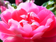 R0011497