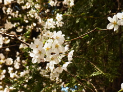 R0012095