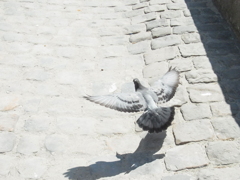 R0010748