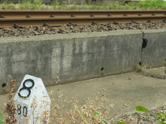 R0011069
