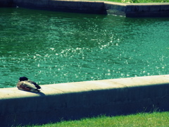 R0010619