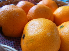 R0011722