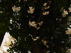 R0012138