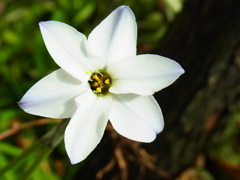 R0012078