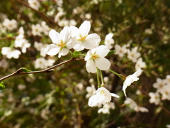 R0012098