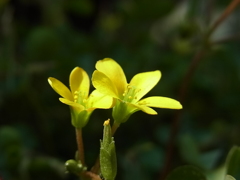 R0010203