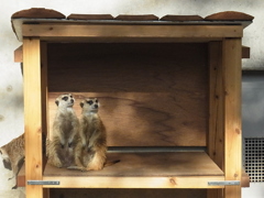 本日はお日柄も良く