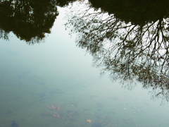 R0011630