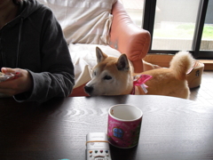 CIMG0081