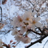 CIMG0068