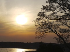夕日①
