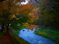 秋の小川
