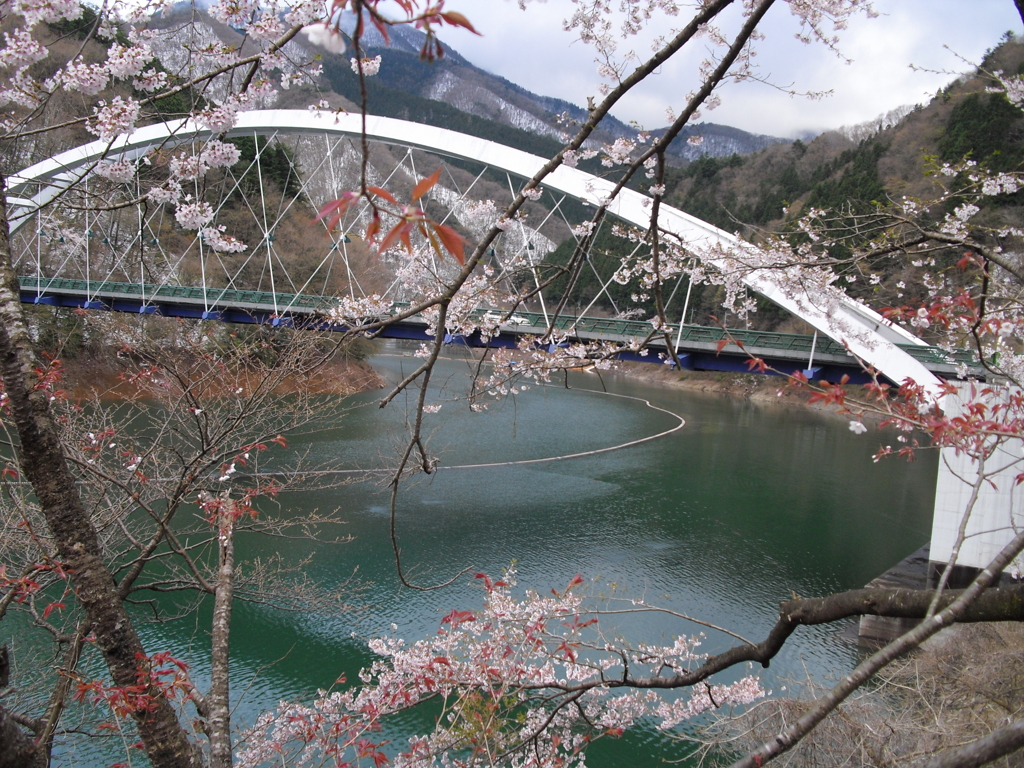 CIMG0035