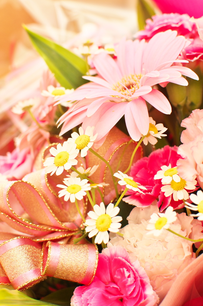 gift for you 