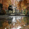 池に写る秋
