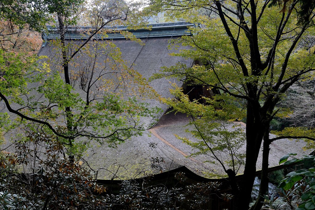 伽藍の屋根