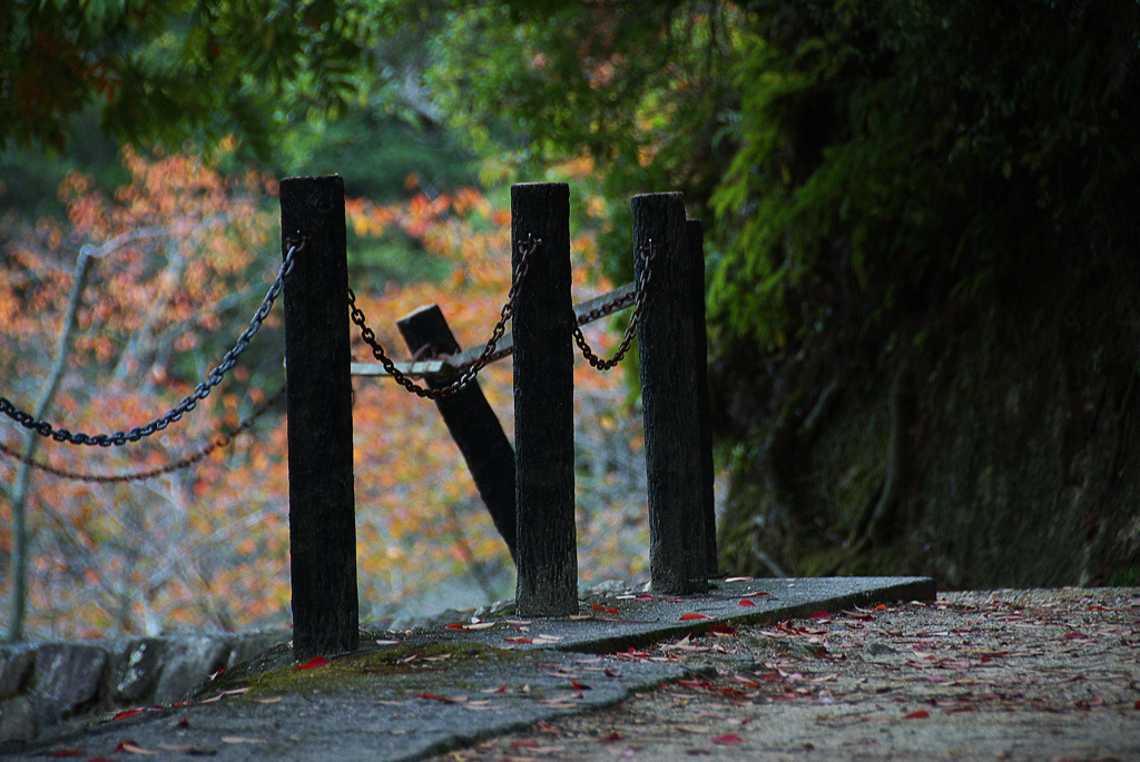 遊歩道・秋