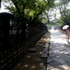 夏の東照宮参道