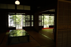 緑写して