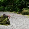 対話