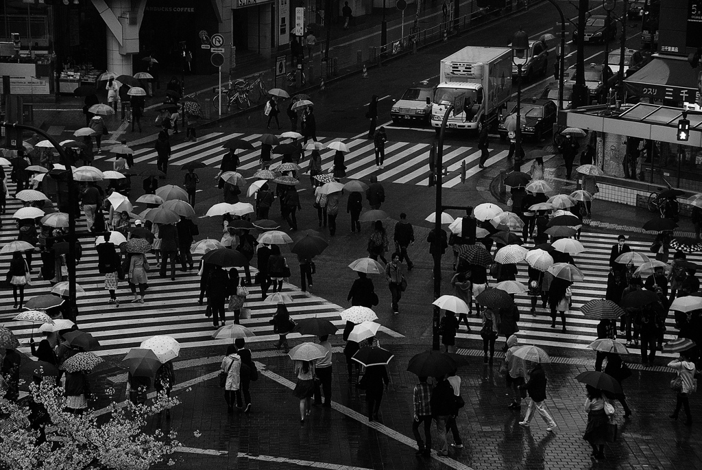 春の雨