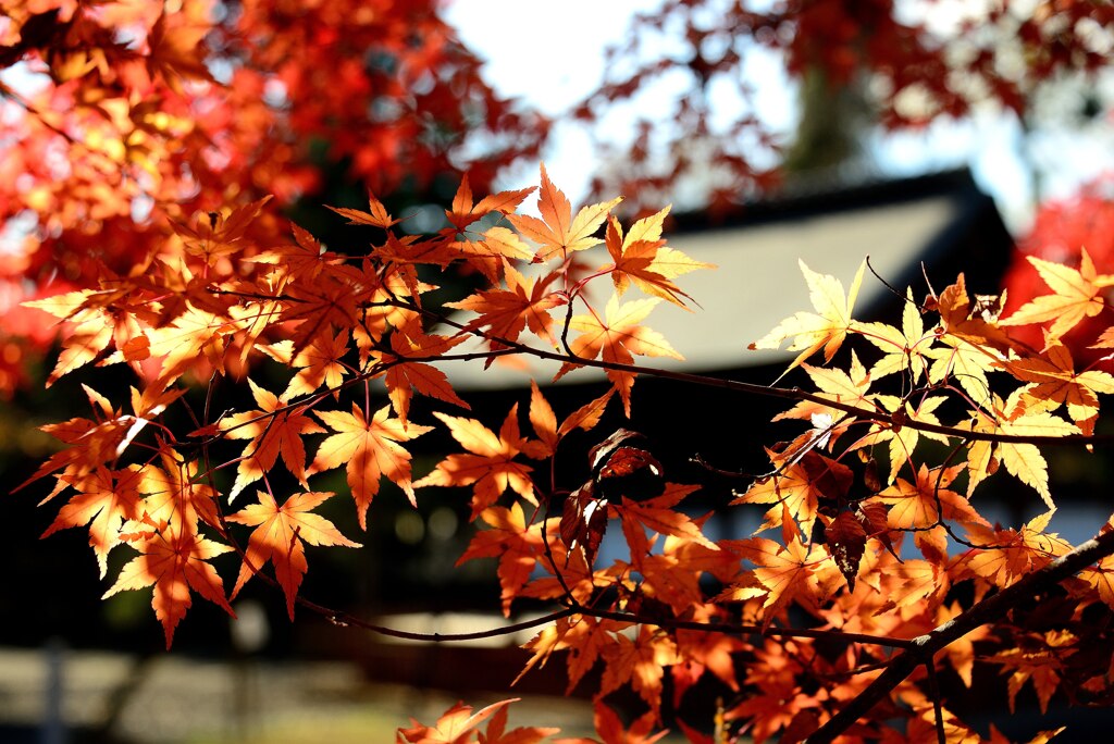 神社にて