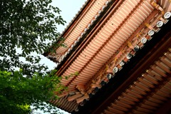 真禅院の三重塔