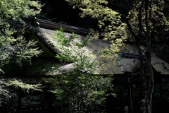 神社の屋根