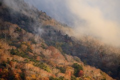 男体山麓