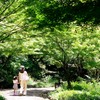 おやこ