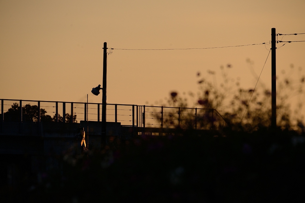 秋・踏切り・夕暮れ