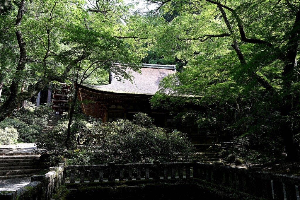 振り返り本堂