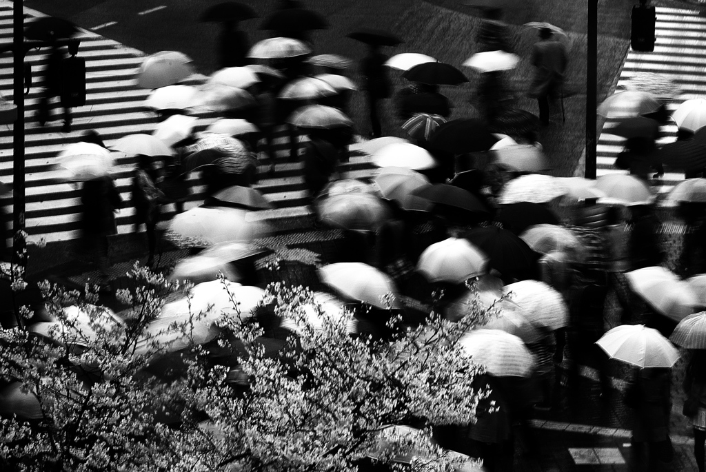 Crossing