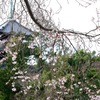 冬へ向かう