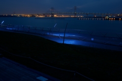 Yokohama Blue Light