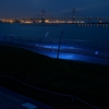 Yokohama Blue Light