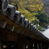 吉備津神社回廊