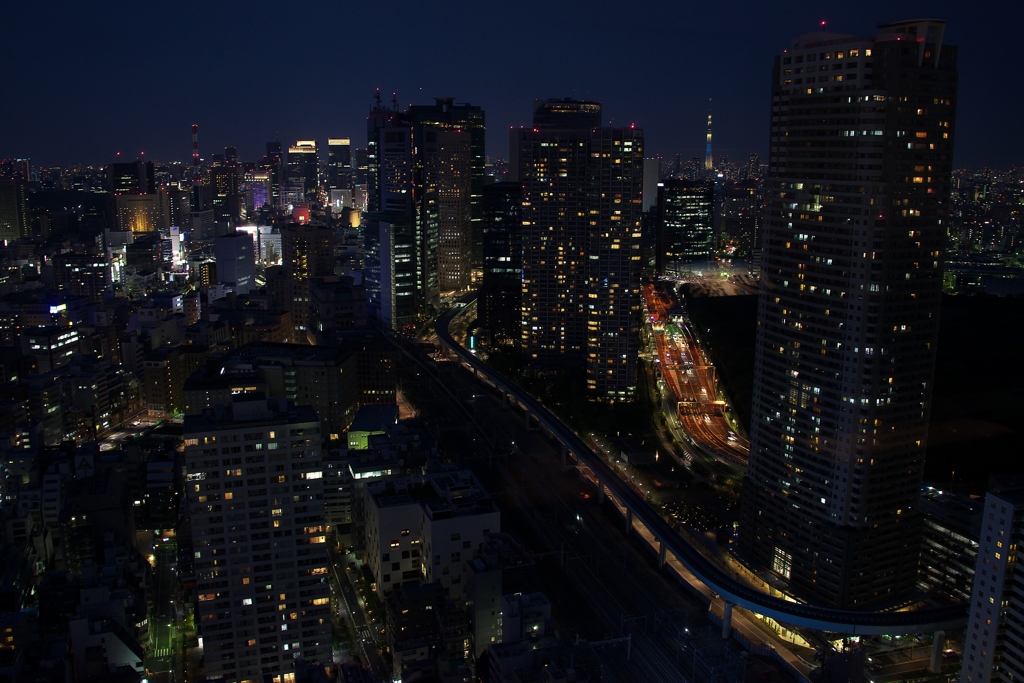 Night View from WTC