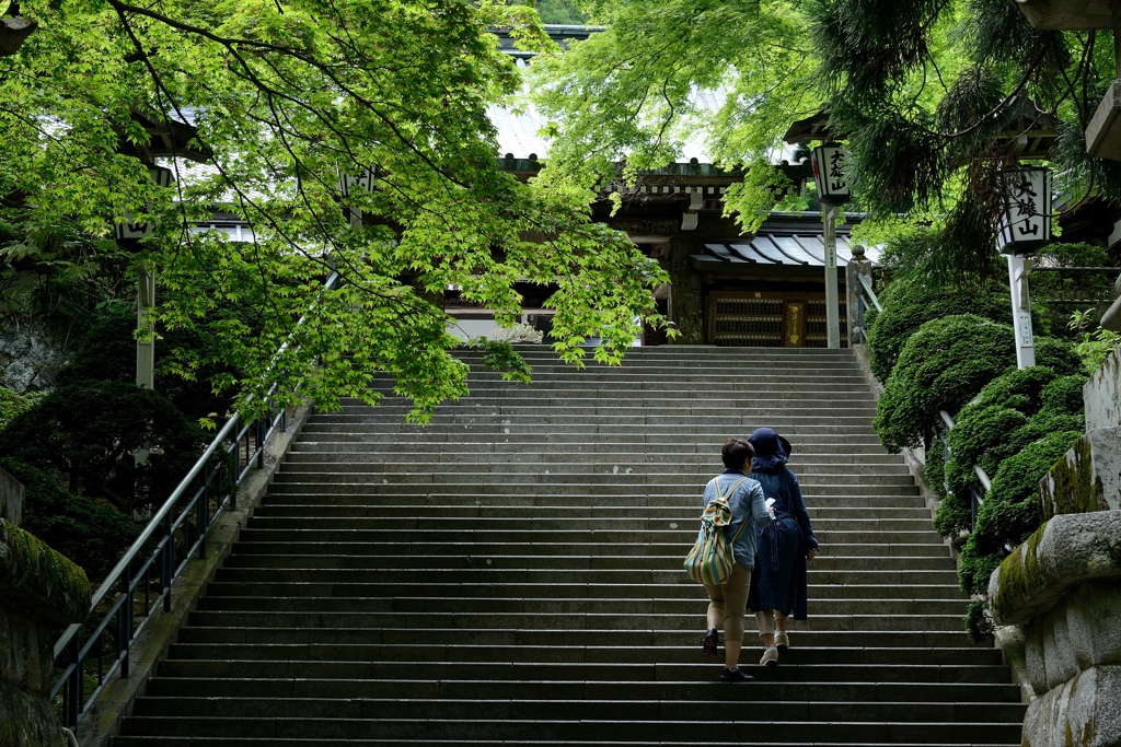 しっとりお参り
