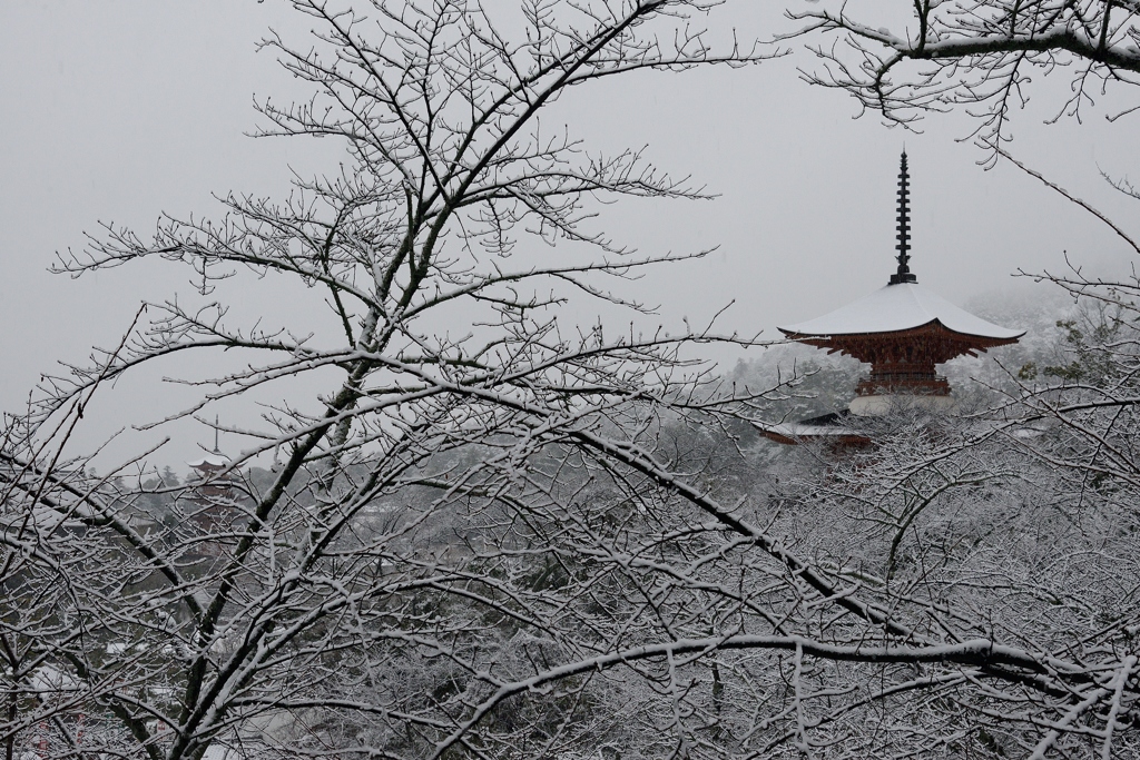 二塔雪化粧
