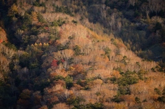 男体山麓